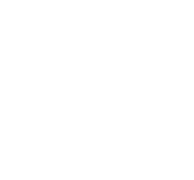 Instituto ABDA recebe título de utilidade pública na câmara.